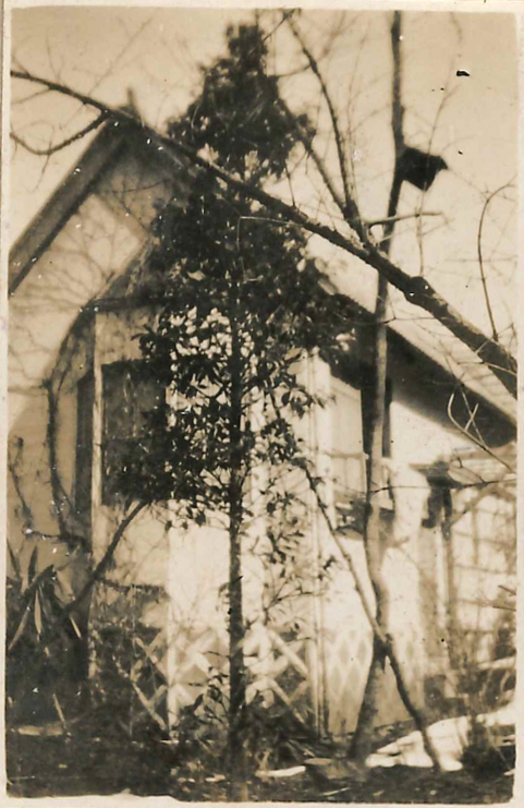 少年山荘外観写真アルバム「1919 T.FUZIHIKO」1920-30年代(大正末~昭和初期) 個人蔵