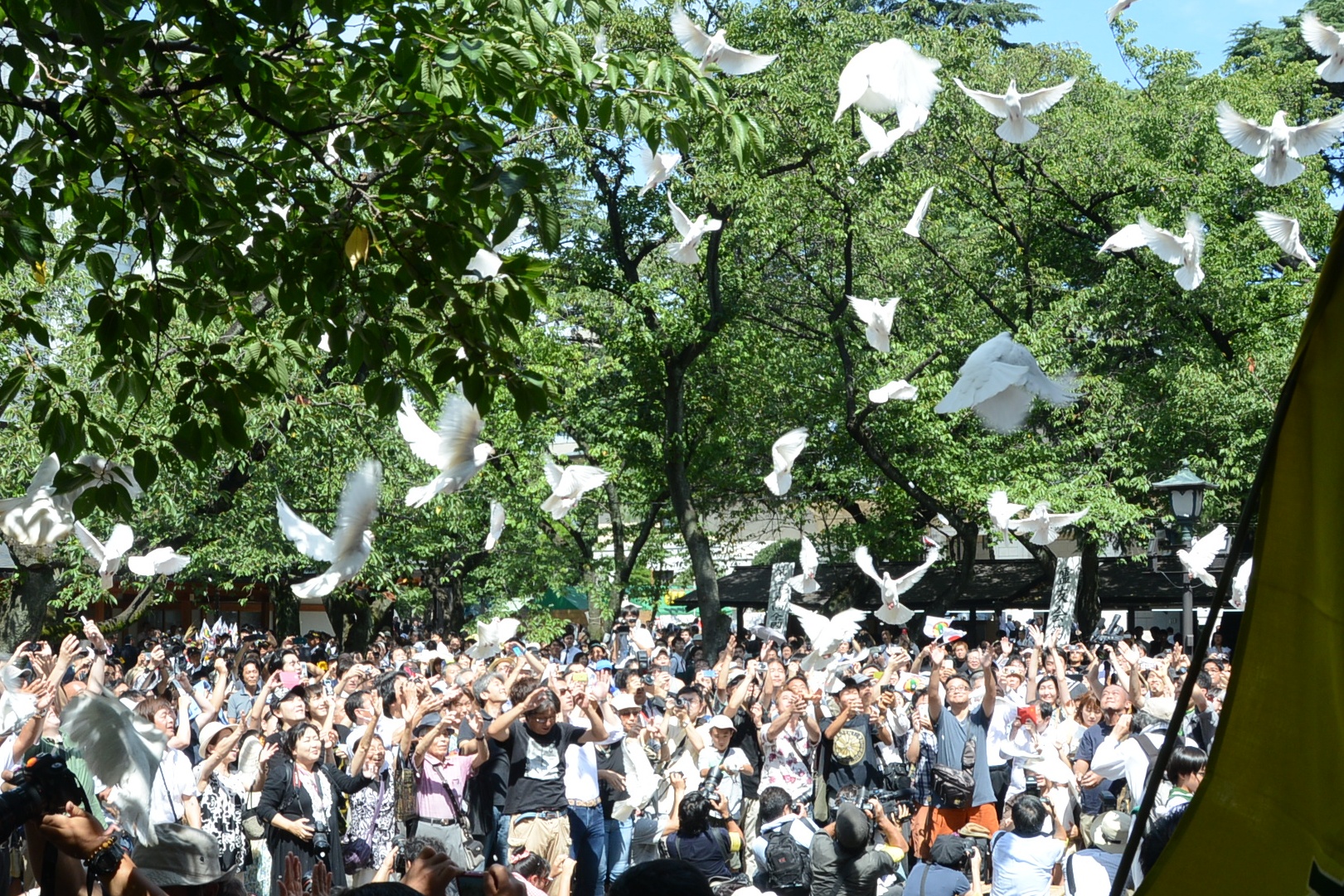たくさんの人達が白鳩を一斉に大空に放っている写真