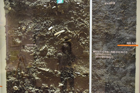 溜池遺跡土層の剥ぎ取り標本を拡大した2枚の写真