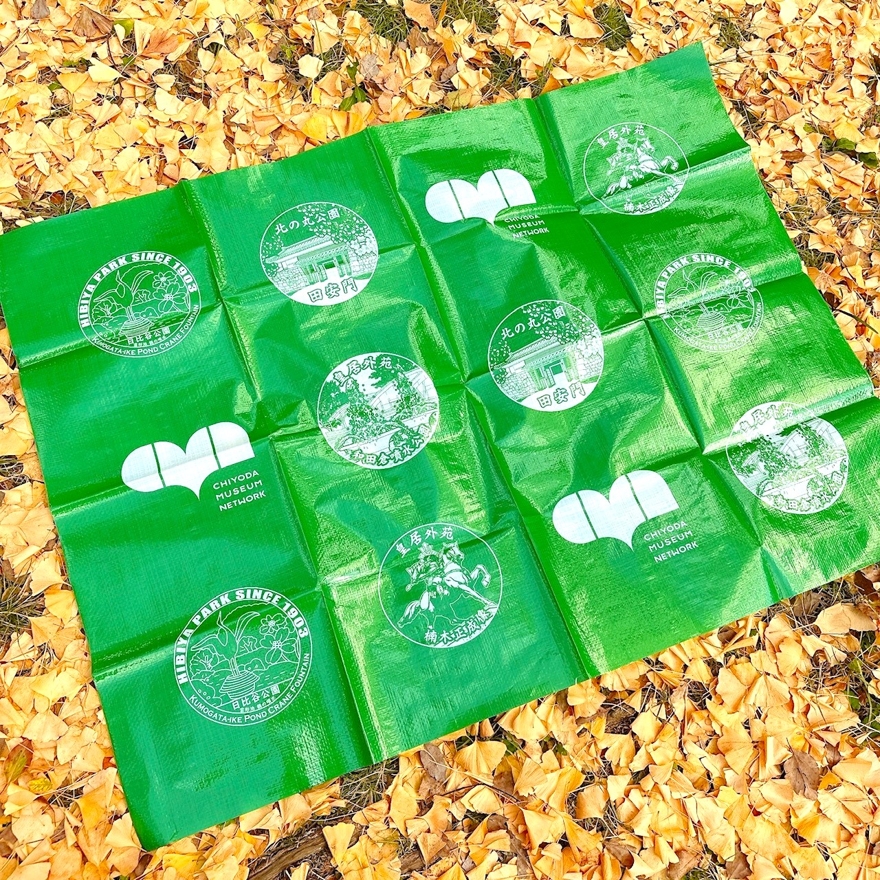 シールラリーレジャーシート