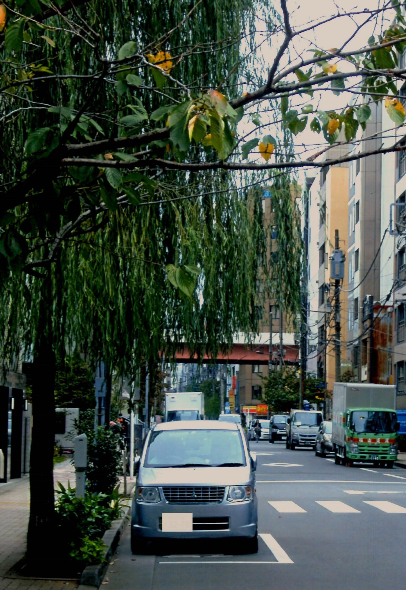 やなぎの木の下の駐車場に車が停車している柳原通りの写真