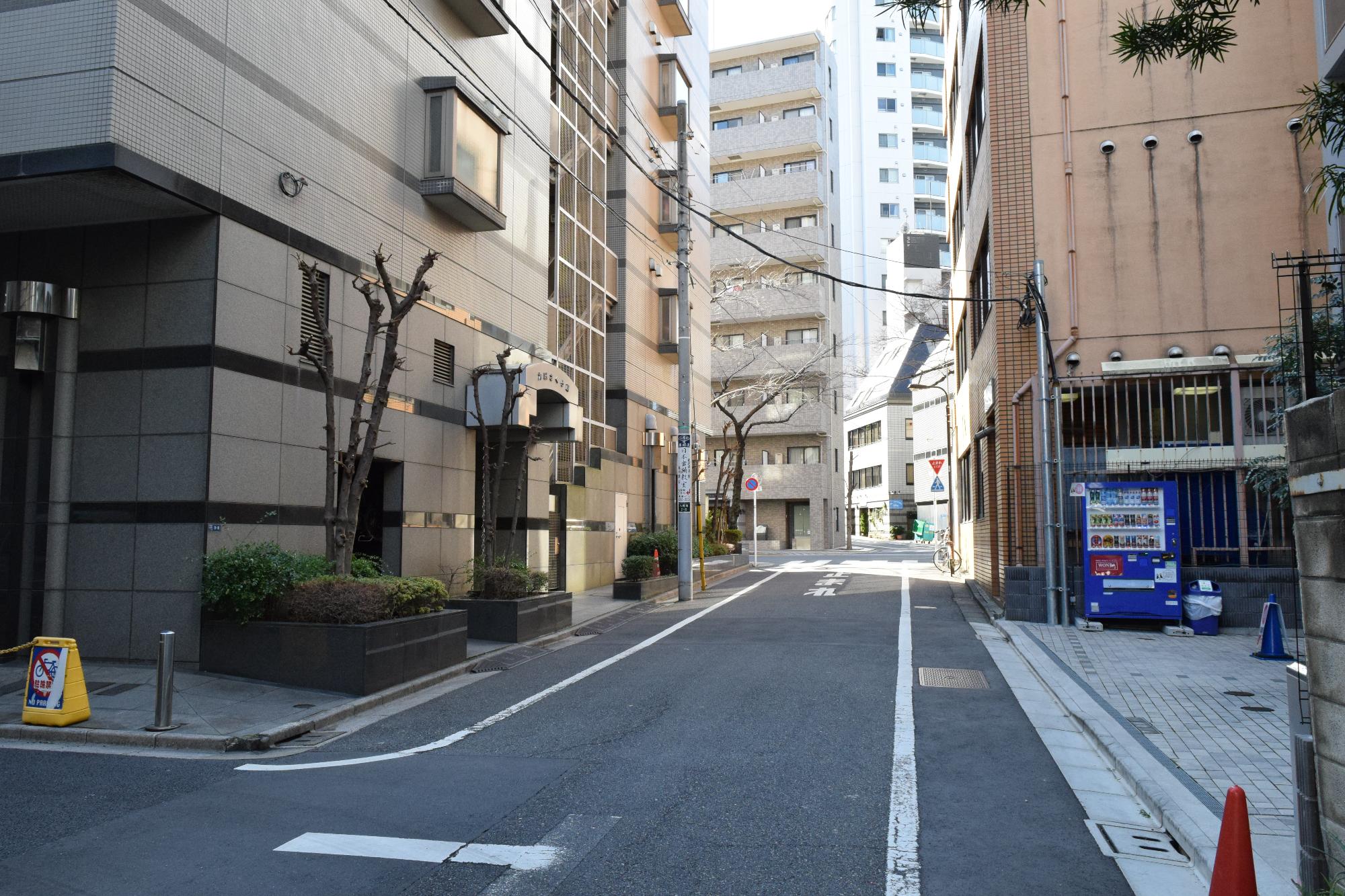 建物の敷地に接する前面道路を写した写真