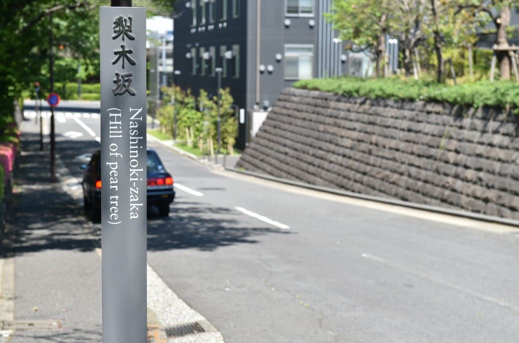 道路沿いに設置された梨木坂の標柱の写真