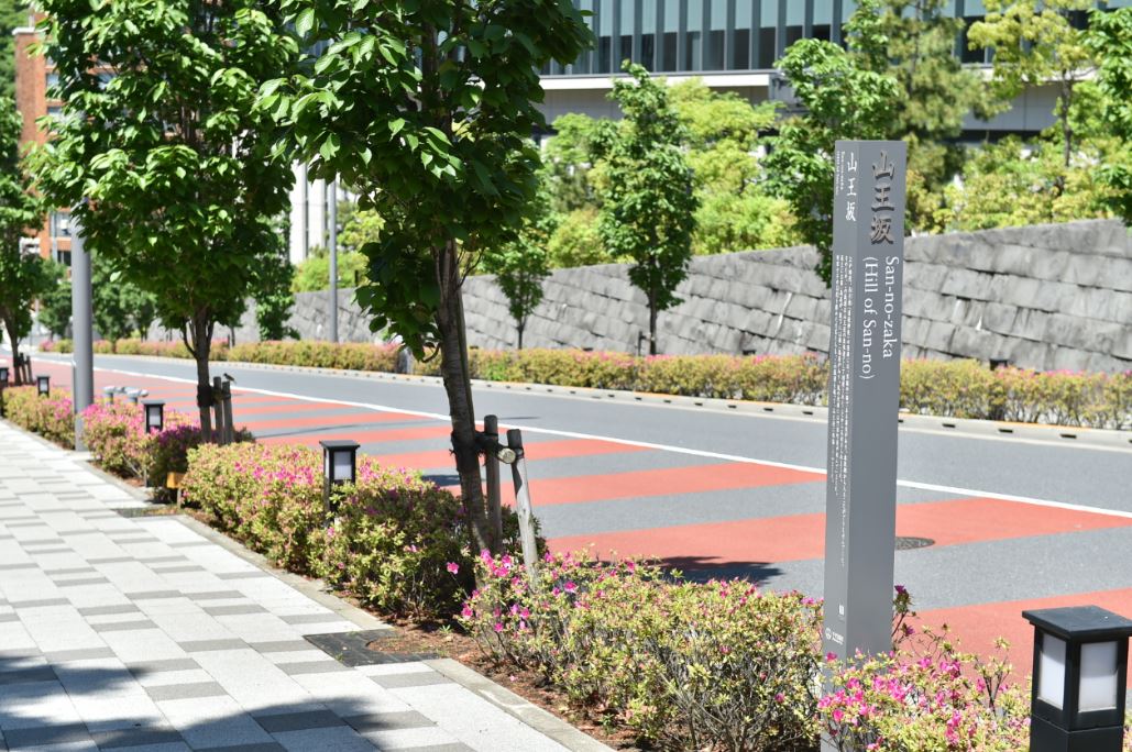 道路沿いに設置された山王坂の標柱の写真