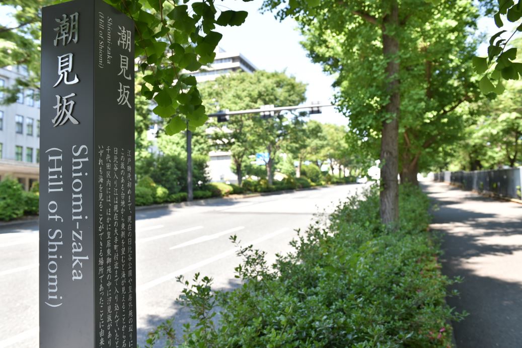 道路沿いに設置された潮見坂の標柱の写真